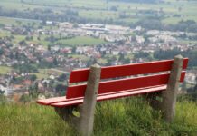 bench, distant view, grass-3510245.jpg