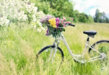 bicycle, meadow, flowers-788733.jpg