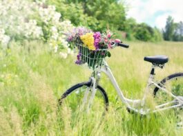 bicycle, meadow, flowers-788733.jpg