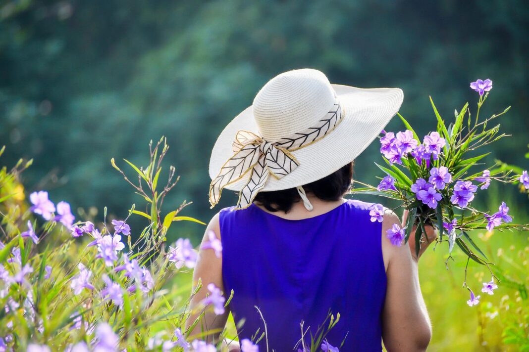 purple dress, purple flowers, girl-5550473.jpg