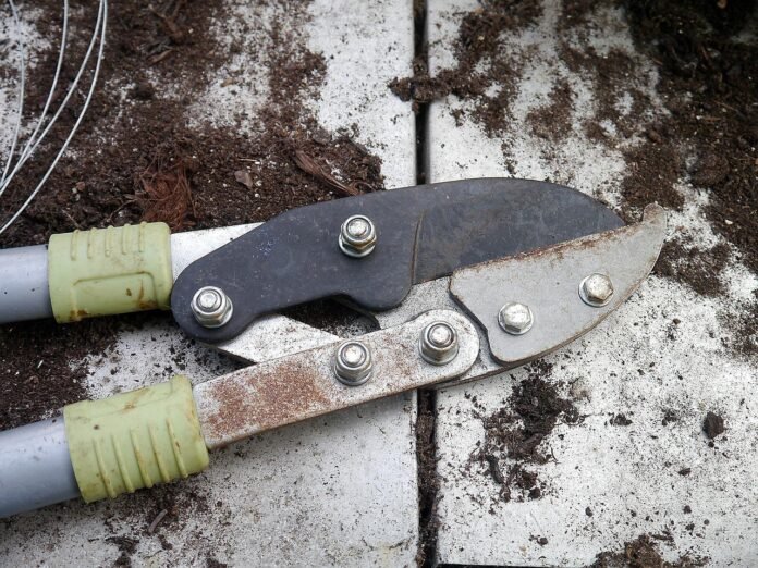 secateurs-tool-gardening-498632 secateurs, tool, gardening-498632.jpg