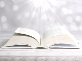 bible, old testament, new testament-4179472.jpg