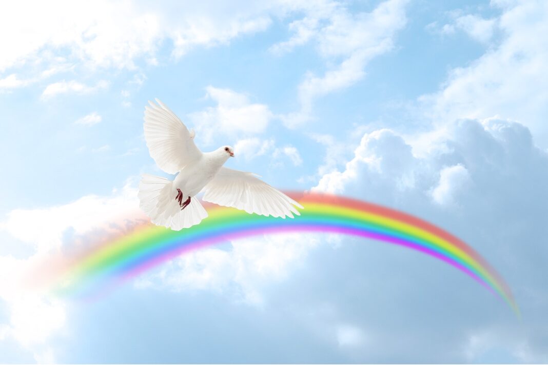 dove, sky, rainbow-7465974.jpg