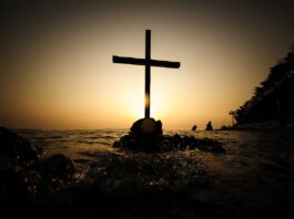 ocean, sunset, beach-2777839.jpg