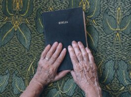 bible, book, hands-1866564.jpg