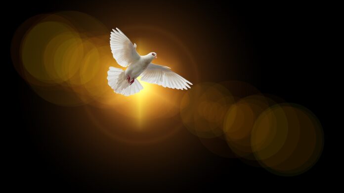 faith, dove, holy spirit-4664706.jpg