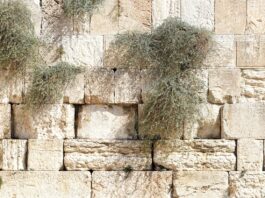 jerusalem, wailing wall, israel-1328645.jpg