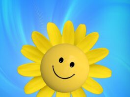 sun, pleasure, smilie-720227.jpg