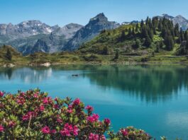 trüebsee, titlis, switzerland-5337646.jpg