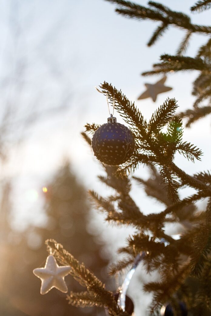 ornament, christmas, decoration-3484327.jpg