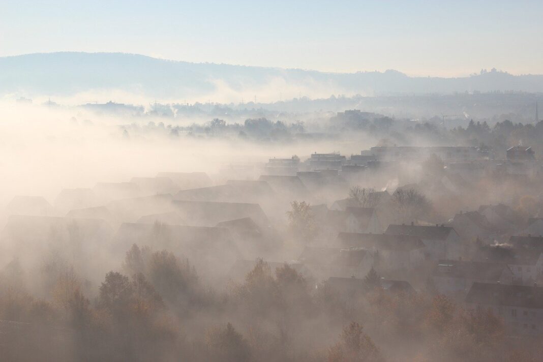 fall, fog, light-7863868.jpg