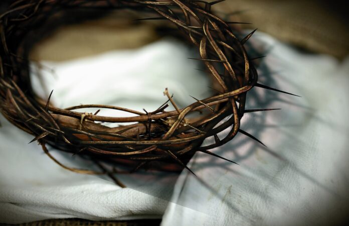 crown of thorns, passion, passion of the christ-6018465.jpg