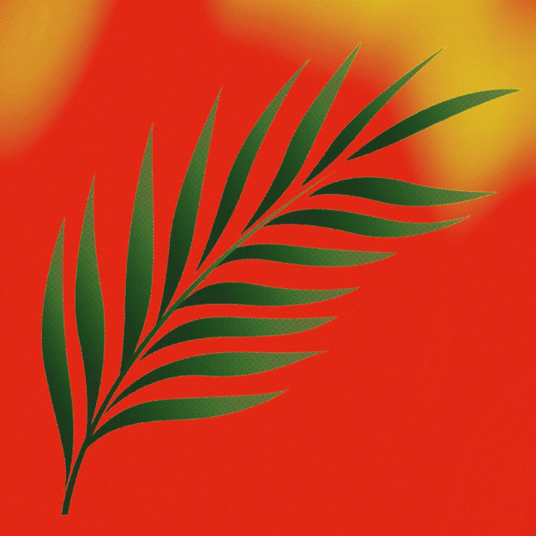 palm sunday, palm leaves, christianity-7038458.jpg