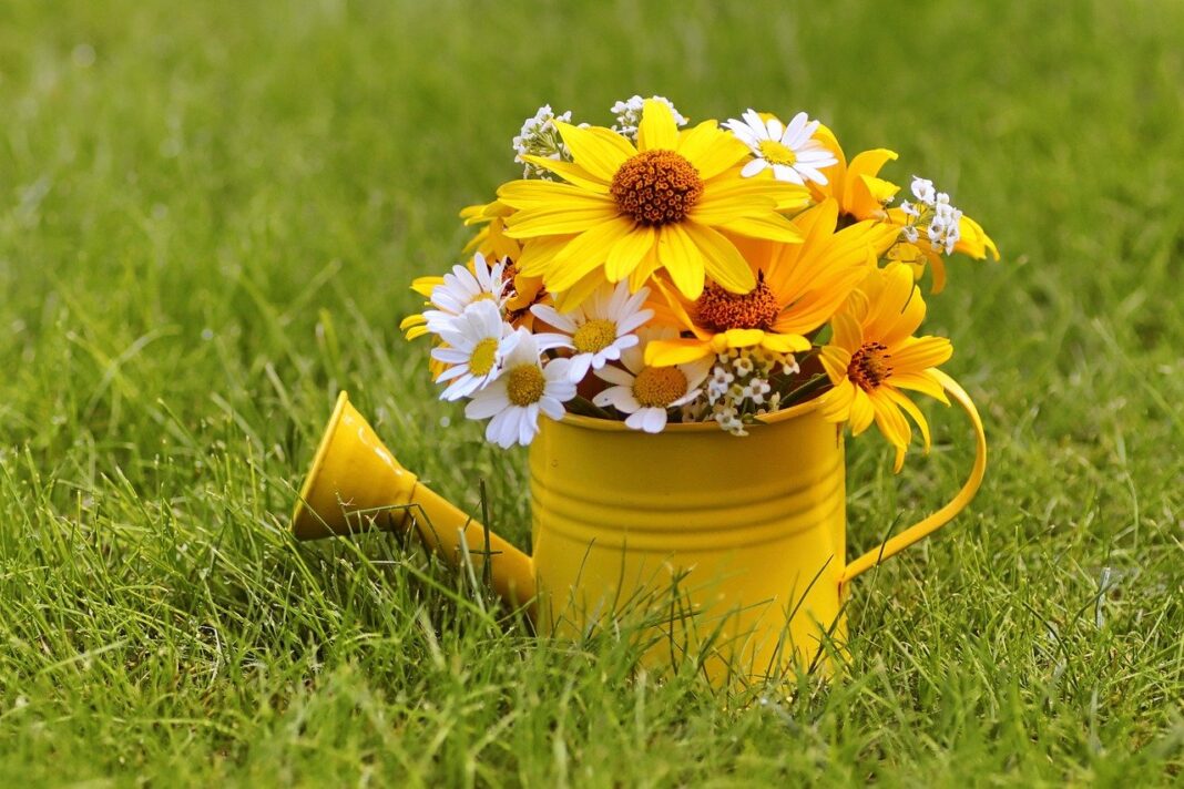 bouquet, free wallpaper, watering can-8216555.jpg