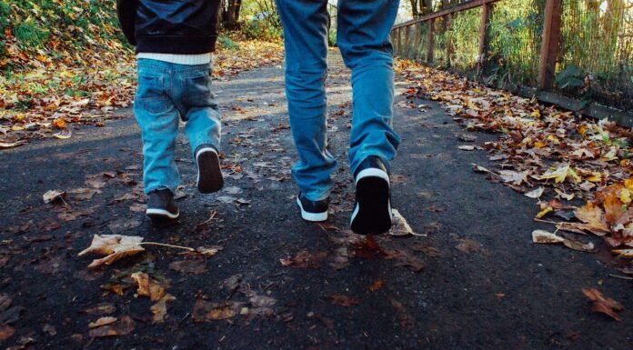dad-son-walking-909510 dad, son, walking-909510.jpg