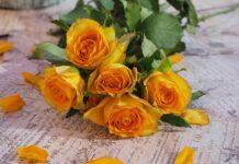 roses, flowers, bouquet-8245569.jpg