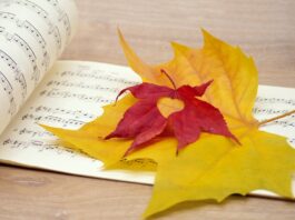 fall, leaves, sheet music-8415901.jpg