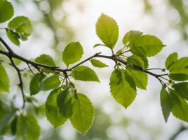 ai generated, leaves, branch-8581856.jpg