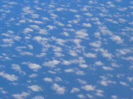 return flight, plane, nature-3068.jpg