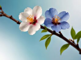 ai generated, flowers, petals-8670283.jpg