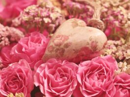 valentine's day, roses, heart-3699995.jpg