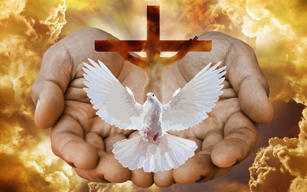 dove, cross, hands-5450109.jpg