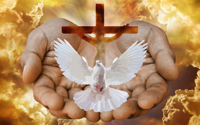 dove, cross, hands-5450109.jpg