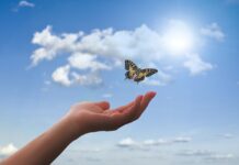 hand, butterfly, clouds-3751159.jpg