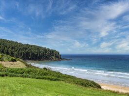 nature, beach, outdoors-6565499.jpg