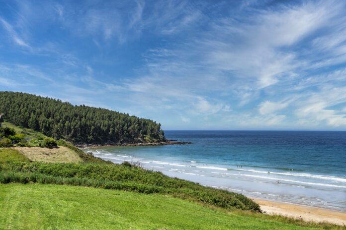 nature-beach-outdoors-6565499 nature, beach, outdoors-6565499.jpg