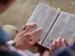 bible, bible study, reading-7092020.jpg