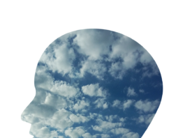 head, man, person-2379686.jpg