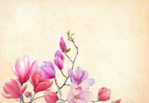 flower, magnolia, watercolor-3350053.jpg