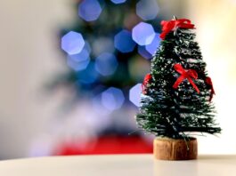 christmas, christmas tree, bokeh-4570267.jpg