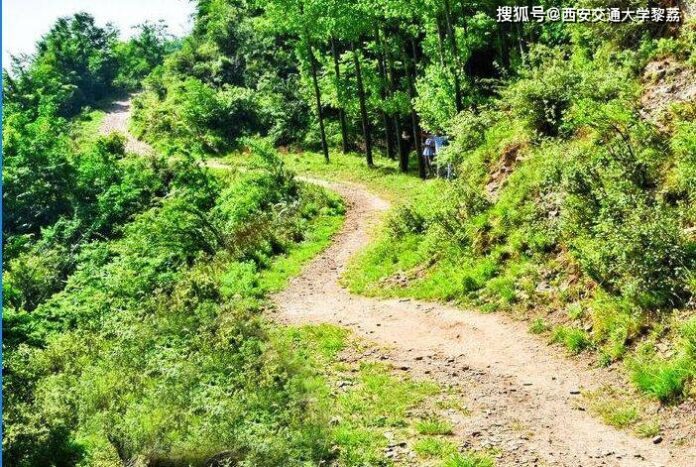 209f2c3b98fc4fdf8c8596bcc76d82f2