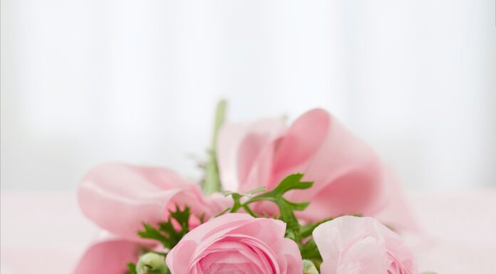 bouquet, flowers, roses, flower arrangement, flower background, flower wallpaper, flower bouquet, beautiful flowers, pink flowers, buds, bloom, nature, blossom, closeup-142876.jpg