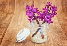 hyacinth, flower, blossoms, flower wallpaper, pink, fragrant, flower background, beautiful flowers, scented flower, spring flower, decorative glass, nature, vase-747131.jpg