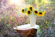 sunflowers, flower background, vase, flower wallpaper, bouquet, nature, flowers, flower arrangement, beautiful flowers, floral arrangement, flower vase-1719119.jpg