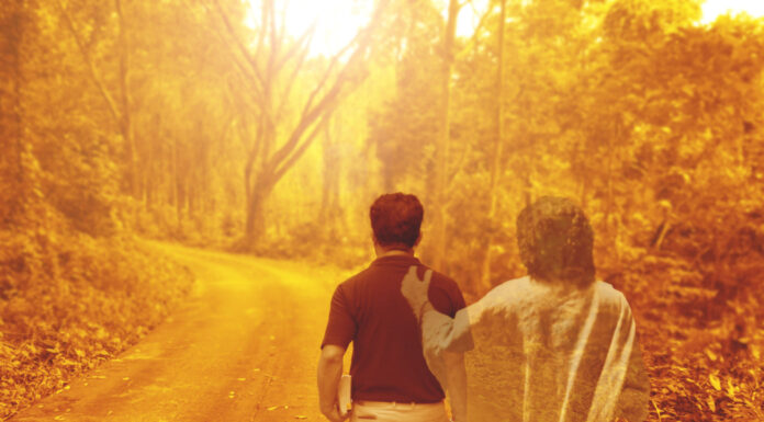 华传电子周报903