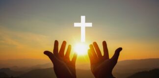 华传电子周报899