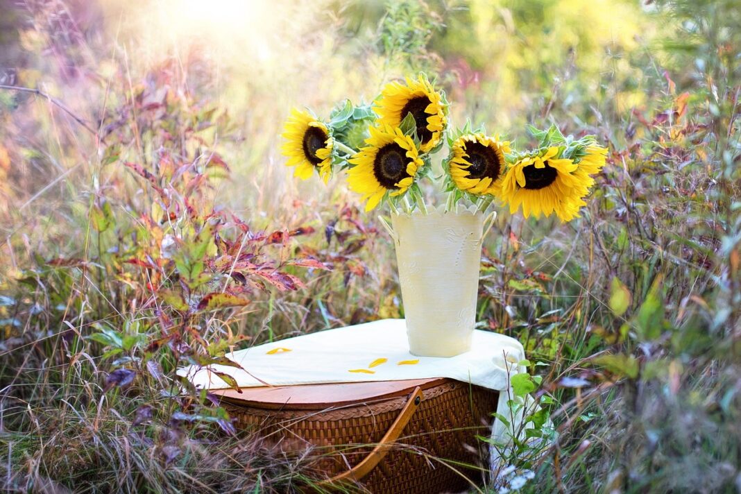 sunflowers, vase, beautiful flowers, bouquet, flowers, flower arrangement, floral arrangement, flower background, flower wallpaper, nature, flower vase-1719119.jpg