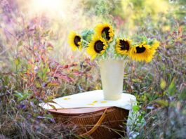 sunflowers, vase, beautiful flowers, bouquet, flowers, flower arrangement, floral arrangement, flower background, flower wallpaper, nature, flower vase-1719119.jpg