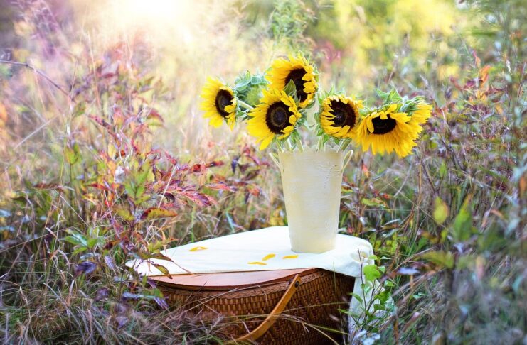 sunflowers, vase, beautiful flowers, bouquet, flowers, flower arrangement, floral arrangement, flower background, flower wallpaper, nature, flower vase-1719119.jpg