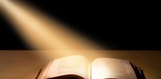 华传电子周报902