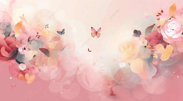 敬虔時刻/29-11-2025/今日經文:約書亞10:15~28