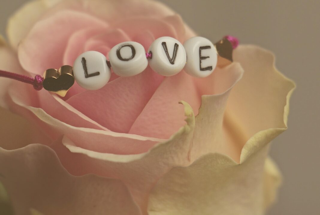 flower, flower wallpaper, rose, love, nature, happy valentines day, feelings, romantic, happiness, valentine's day, flower background, beautiful flowers, in love, affection, rose flower, connectedness-3388626.jpg