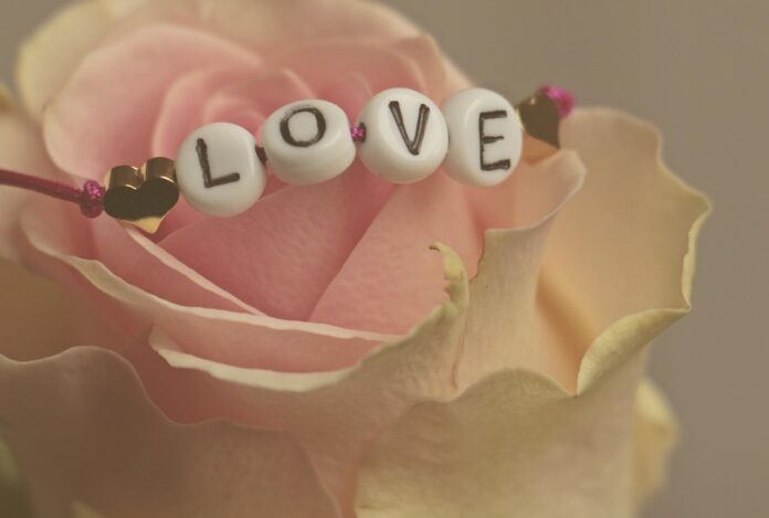 flower, flower wallpaper, rose, love, nature, happy valentines day, feelings, romantic, happiness, valentine's day, flower background, beautiful flowers, in love, affection, rose flower, connectedness-3388626.jpg