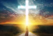 【痛到尽头,仍不改信】-灵修分享-约伯记