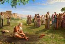 【慧眼识义人】-灵修分享-约伯记