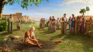 images (31)